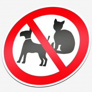 Verboden voor huisdieren - 1