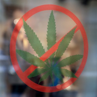 Verbotenes Cannabis - 3