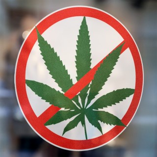 Verboden Cannabis - 2