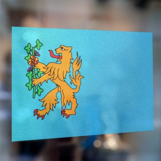 Gemeente vlag Brummen - 3