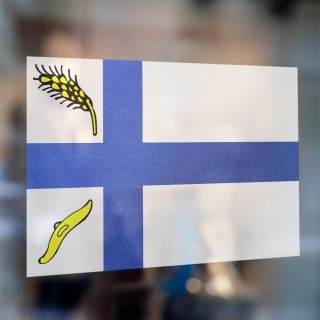 Gemeente vlag Wierden - 3