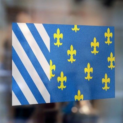 Gemeente vlag Bellingwedde - 3