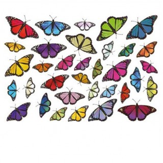 Fahrradaufkleber Schmetterlinge Set 1 - 1