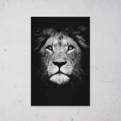 Leeuw Zwart Wit geprint op Aluminium - 1