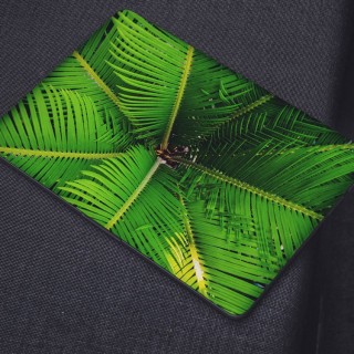 Laptop-Aufkleber mit exotischen Blättern – 1