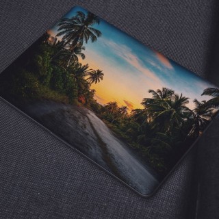 Laptop-Aufkleber mit Kokosnussbäumen – 1