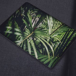 Tropische Bladeren Laptop Sticker - 1
