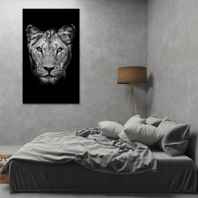 Leeuwin Zwart Wit geprint op Aluminium - 2