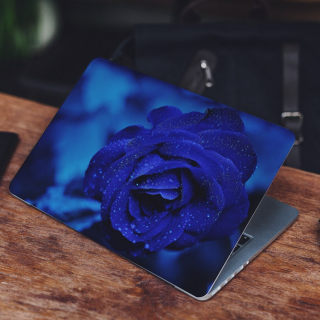 Blauwe Roos Laptop Sticker - 2