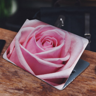 Gekantelde Roze Roos Laptop Sticker - 1