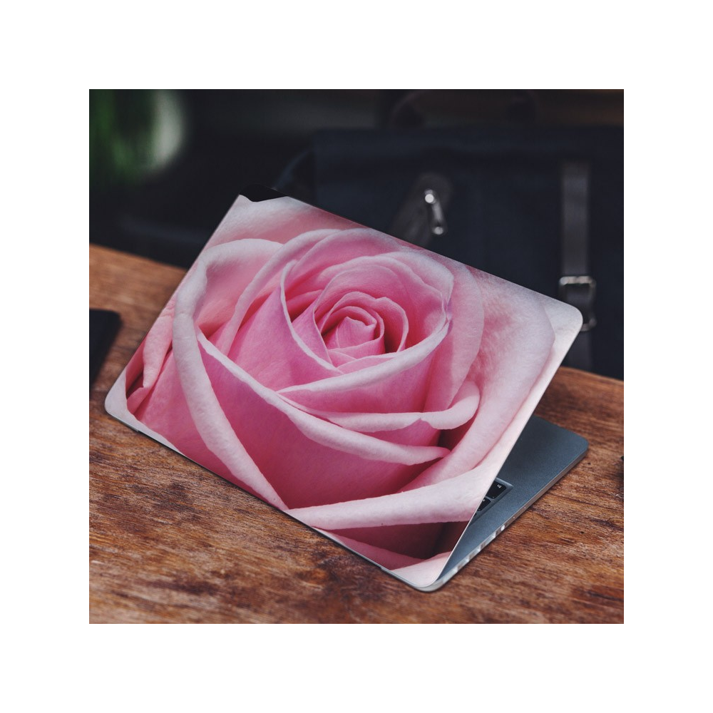 Laptop-Aufkleber mit gekippter rosa Rose – 1