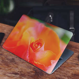Orange Rose Close Up Laptop-Aufkleber – 1