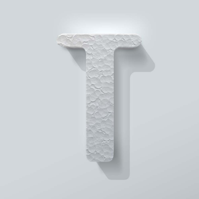 Piepschuim Letter T Checkbook - 1