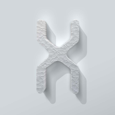 Piepschuim Letter X Checkbook - 1