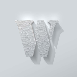 Styropor-Buchstaben-W-Schablone – 1