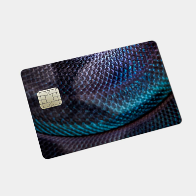 Pinpas Sticker Dierenhuid Blauw Grijze Slang - 2