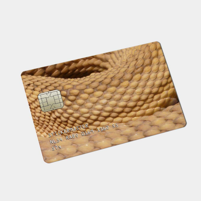 Pinpas Sticker Dierenhuid Bruine Adder - 1