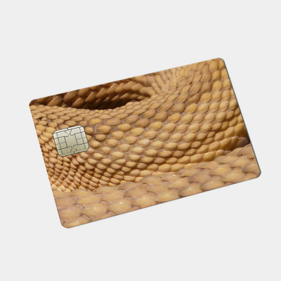 Pinpas Sticker Dierenhuid Bruine Adder - 2