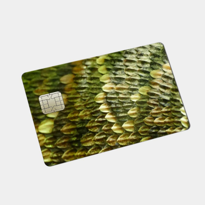 Pinpas Sticker Dierenhuid Groene Slang - 1