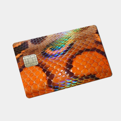 Pinpas Sticker Dierenhuid Oranje Slang - 2