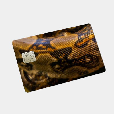 Pinpas Sticker Dierenhuid Python Slang - 2