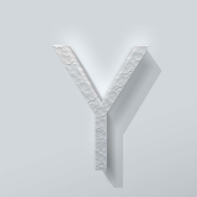 Piepschuim Letter Y Thesis - 1