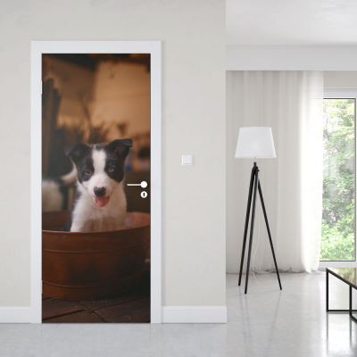 Deursticker Border colli - 1