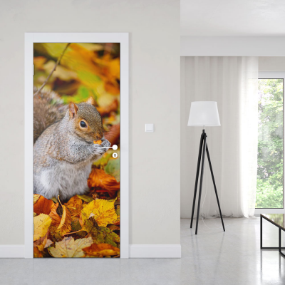 Deursticker Eekhoorn - 1