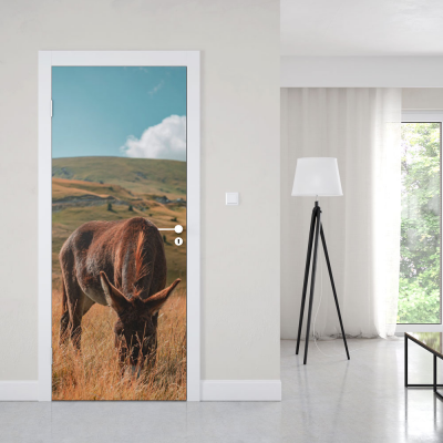 Deursticker Ezel - 1