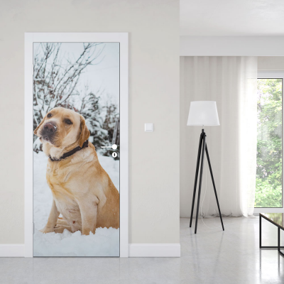 Deursticker Golden retriever - 1