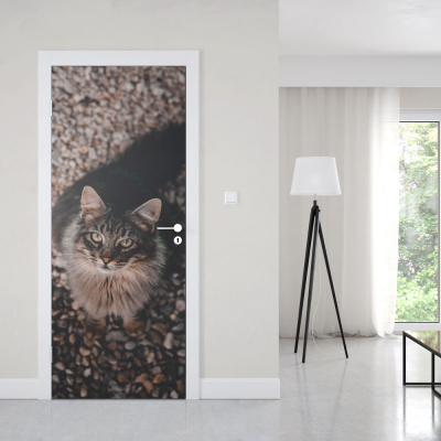 Deursticker Langharige Cyperse - 1