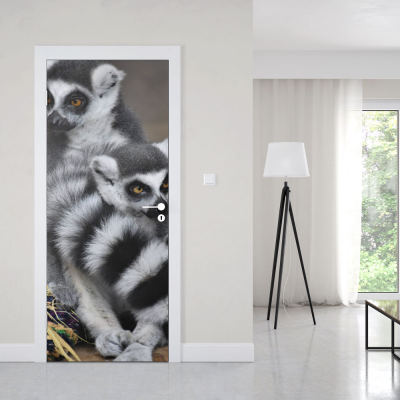 Deursticker Ringstaartmaki - 1