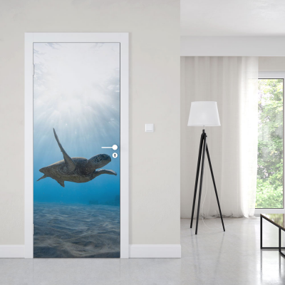 Deursticker Schildpad - 1