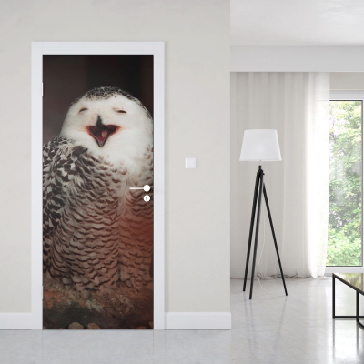 Deursticker Sneeuwuil - 1