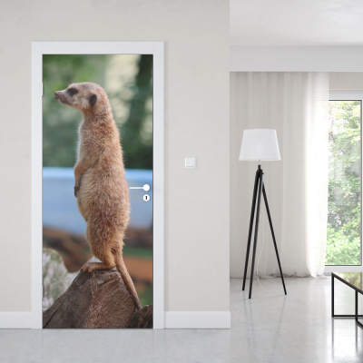 Deursticker Stokstaartje - 1