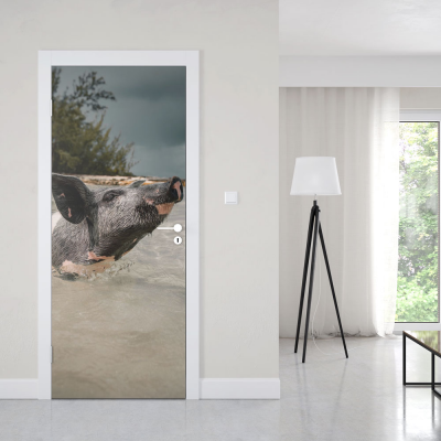 Deursticker Varken zwemmend - 1