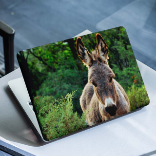 Esel im Wald Laptop-Aufkleber – 1