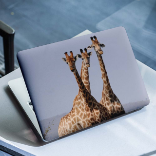 Giraffen-Laptop-Aufkleber – 1