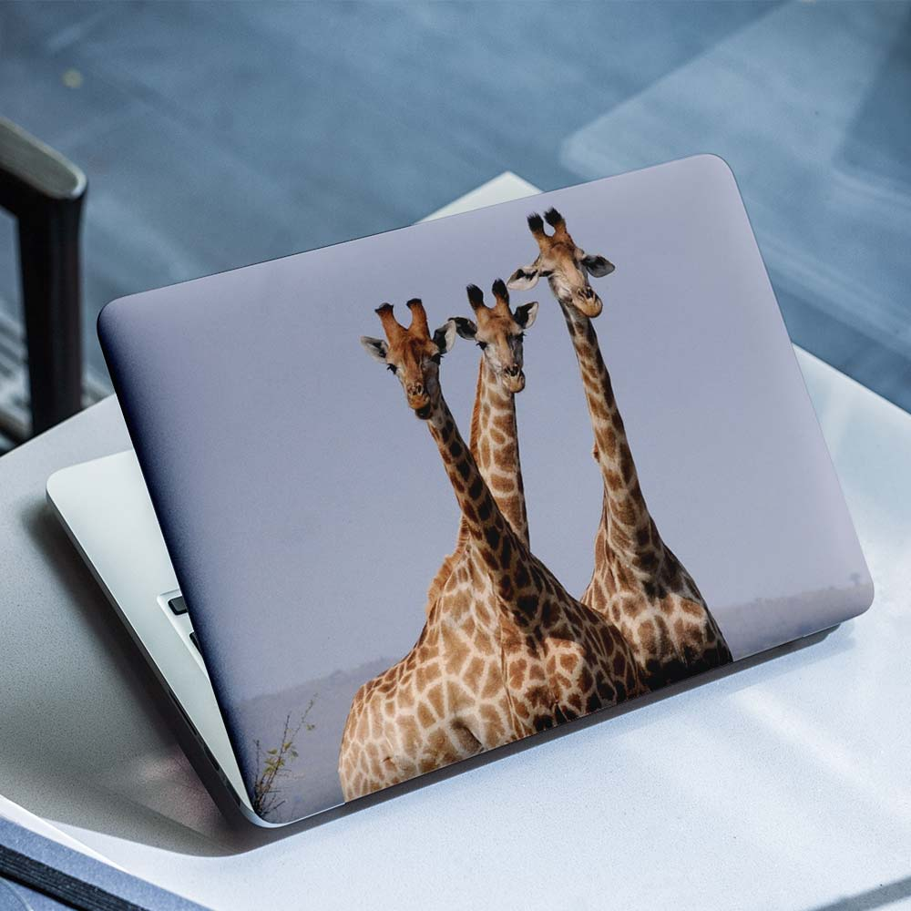 Giraffen-Laptop-Aufkleber – 1