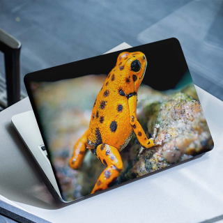 Laptop-Aufkleber „Frosch“ – 1
