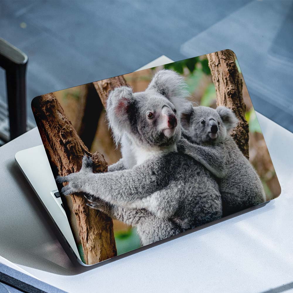 Koala-Laptop-Aufkleber – 1