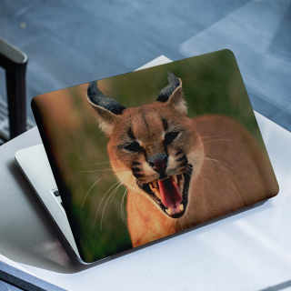 Lynx Laptop Sticker - 1