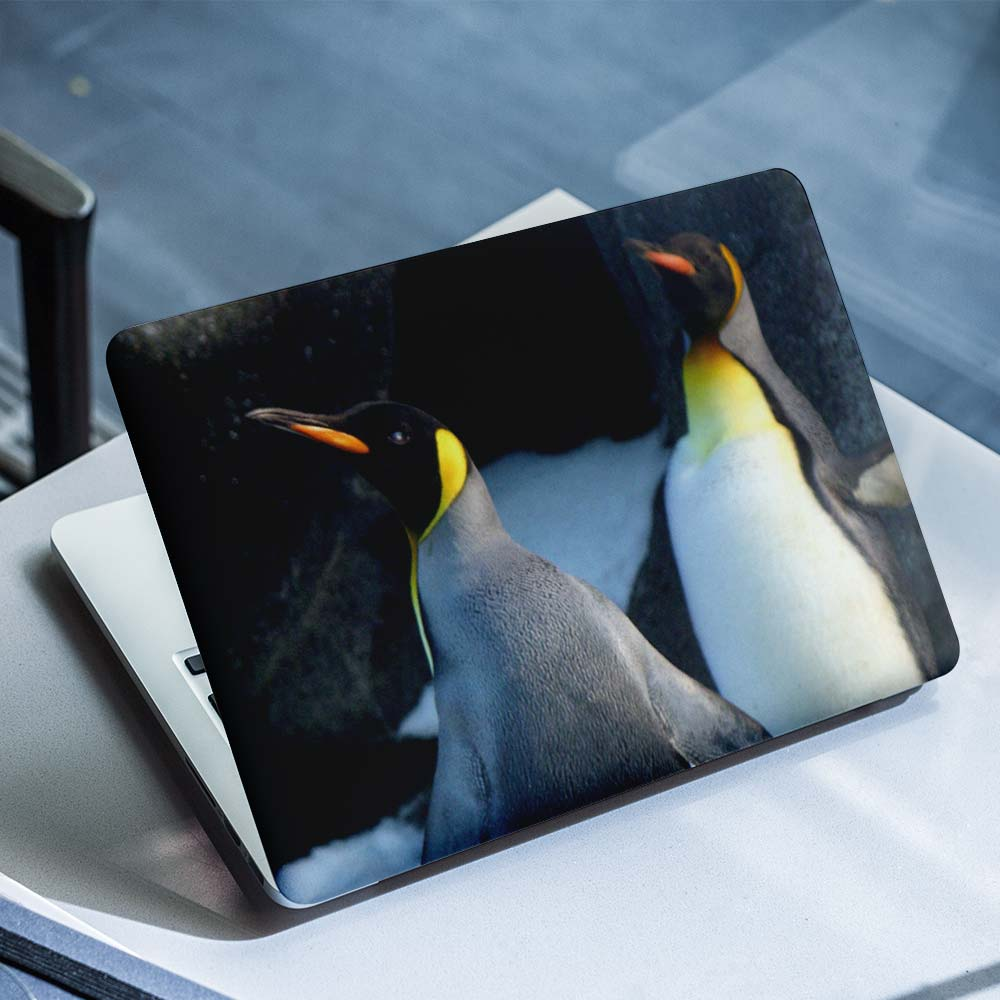 Pinguin-Laptop-Aufkleber – 1