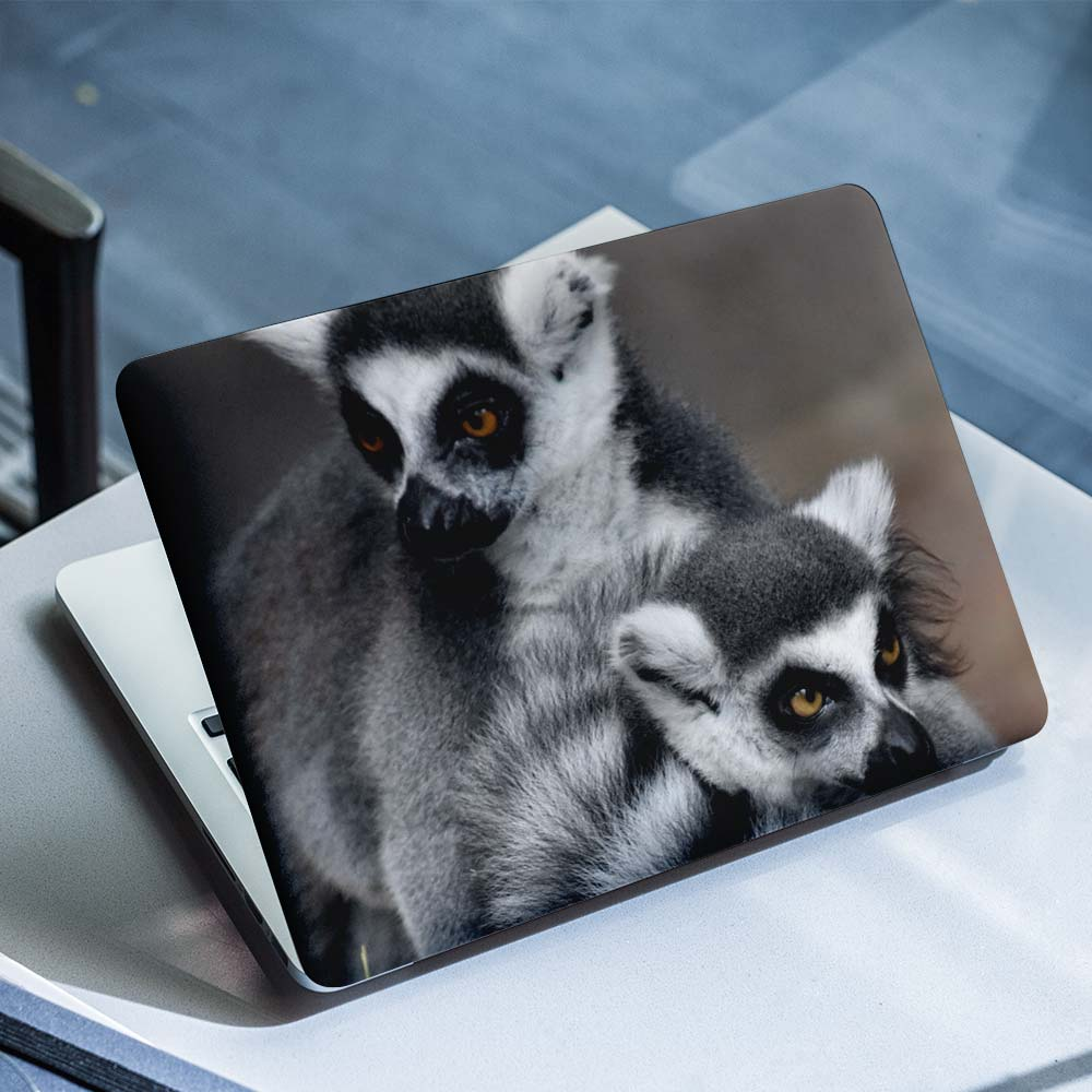 Ring Tailed Lemur Laptop-Aufkleber – 1