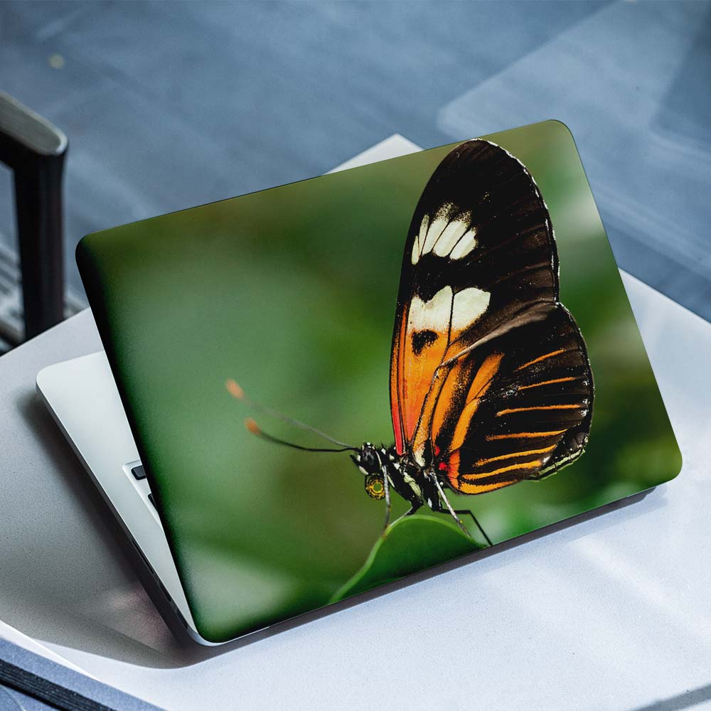 Schmetterling-Laptop-Aufkleber – 1