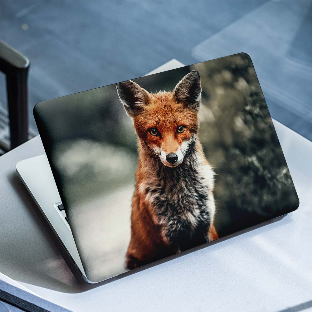 Laptop-Aufkleber „Kleiner Fuchs“ – 1