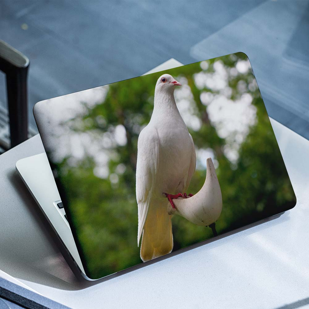 Weiße Taube Laptop-Aufkleber – 1