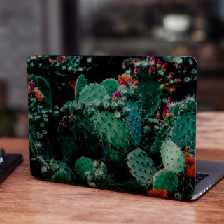 Kaktus-Laptop-Aufkleber – 1