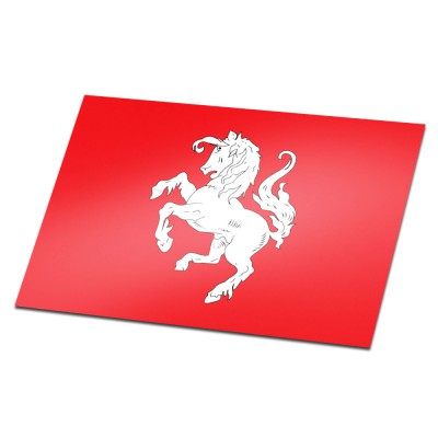 Streekvlag Twente - 1