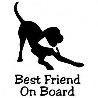 Best Friend on Board Sticker - 1